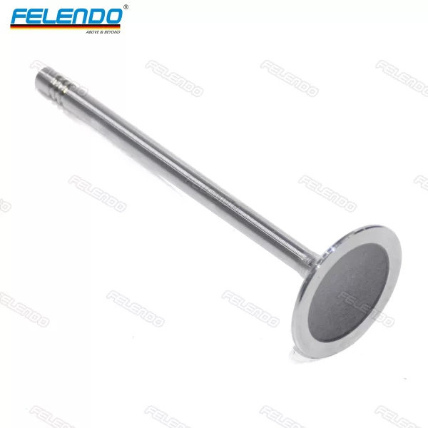 High Quality Engine Valves Intake Exhaust for Mercedes-Benz BMW Audi LR Vw Toyota 06D109601K Felendo